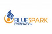 Bluespark Foundation