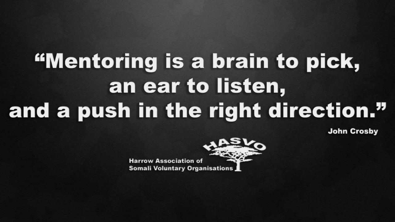 HASVO Virtual Mentoring - photo