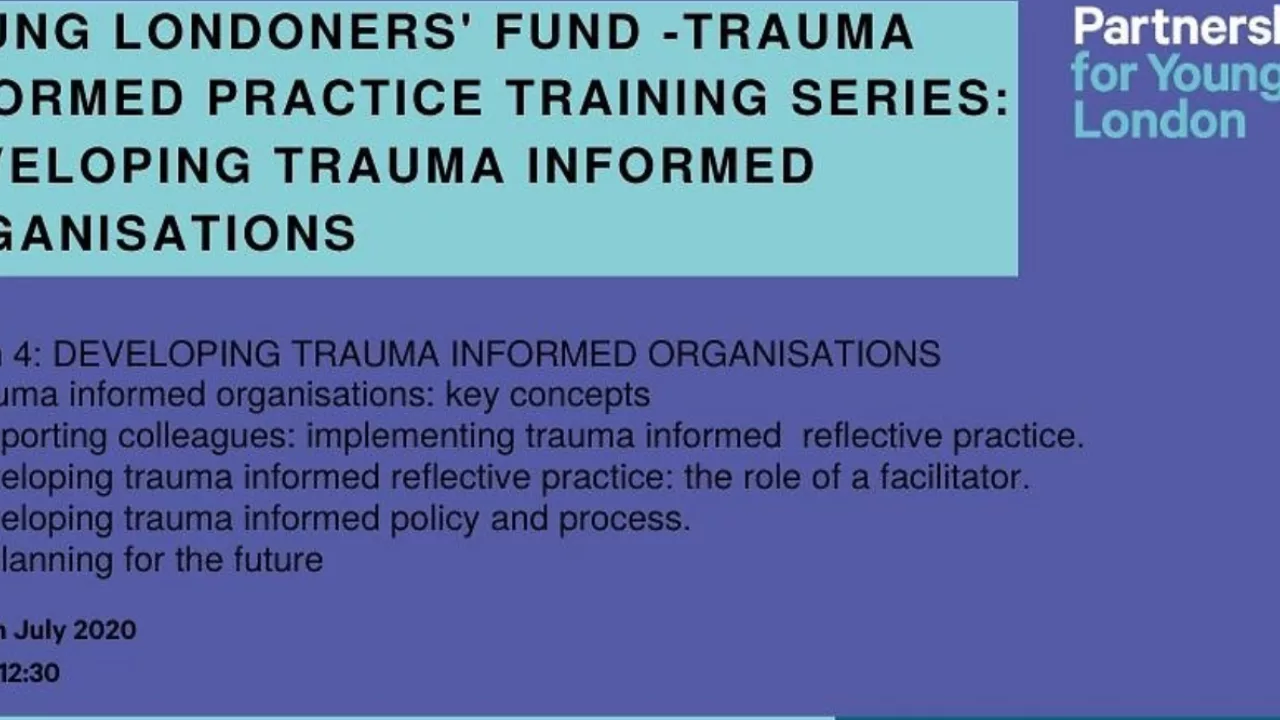Trauma informed practice training series-Partnership for Young London 2020-2021 - photo