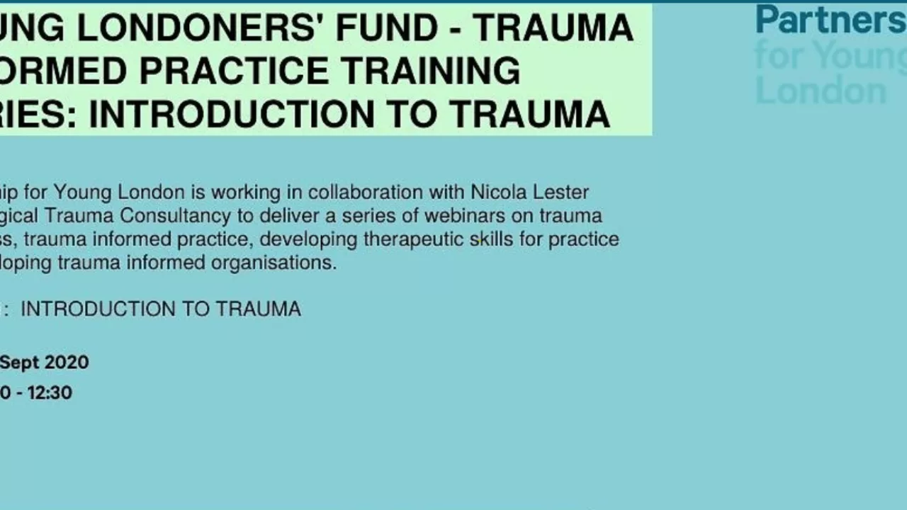 Trauma informed practice training series-Partnership for Young London 2020-2021 - photo