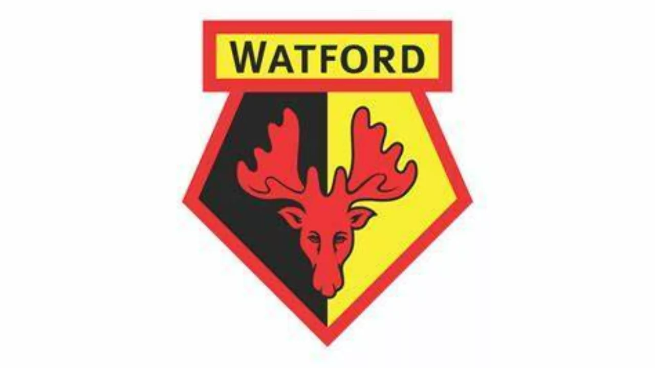 Watford FC Change Makers - Personal Growth Programme - photo