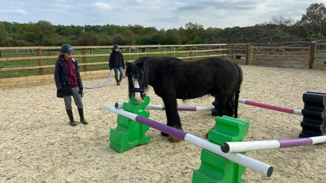 Easter Holidays Horse Experience Day ages 7-10 years - photo