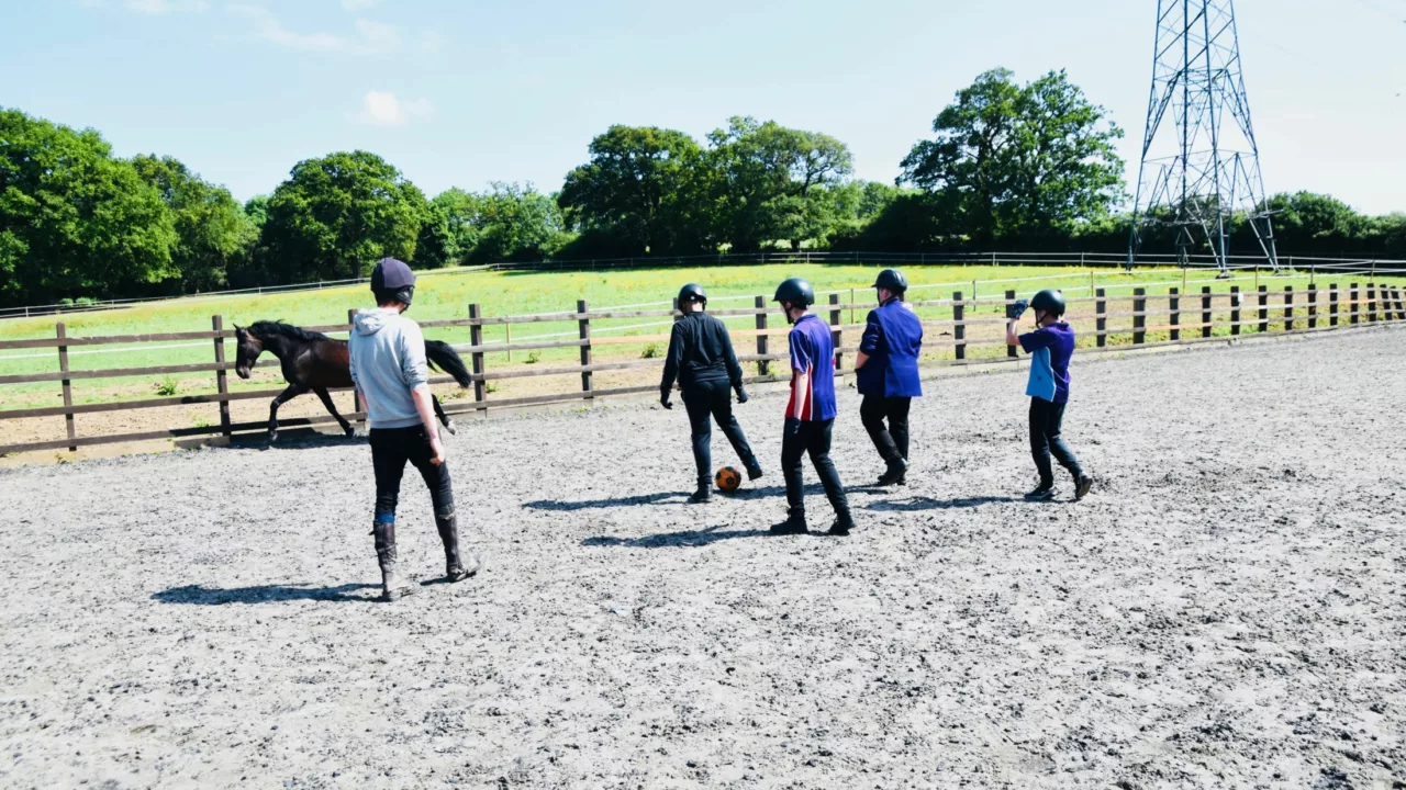 Employability and Horsemanship Skills Alternative Education Programme - photo